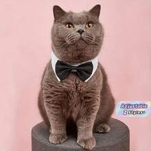 Adjustable Pet Bow Tie Collar, Formal Tuxedo Style Dog Cat Collar With Bowtie, Wedding Party Costume Accessory For Small Puppy Kitten - Black and White - View 1