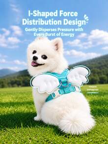 Lightweight Angel Wings Pet Harness & Leash Set, No-Pull Walking Strap For Small & Medium Dogs - Multicolor - View 2