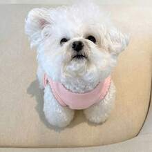 1pc Pet Vest Shirt, Cute Macaron Sleeveless Top, Solid Color, Soft & Breathable, Suitable For Teddy, Pomeranian, Bichon Frise, Small Dogs & Cats,Pink, Spring/Summer - Pink - View 4