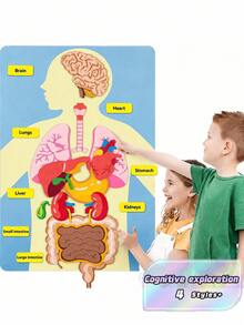 "Interactive Body Anatomy Learning Set: Colorful Felt Organs For Kids " - Multicolor - View 2