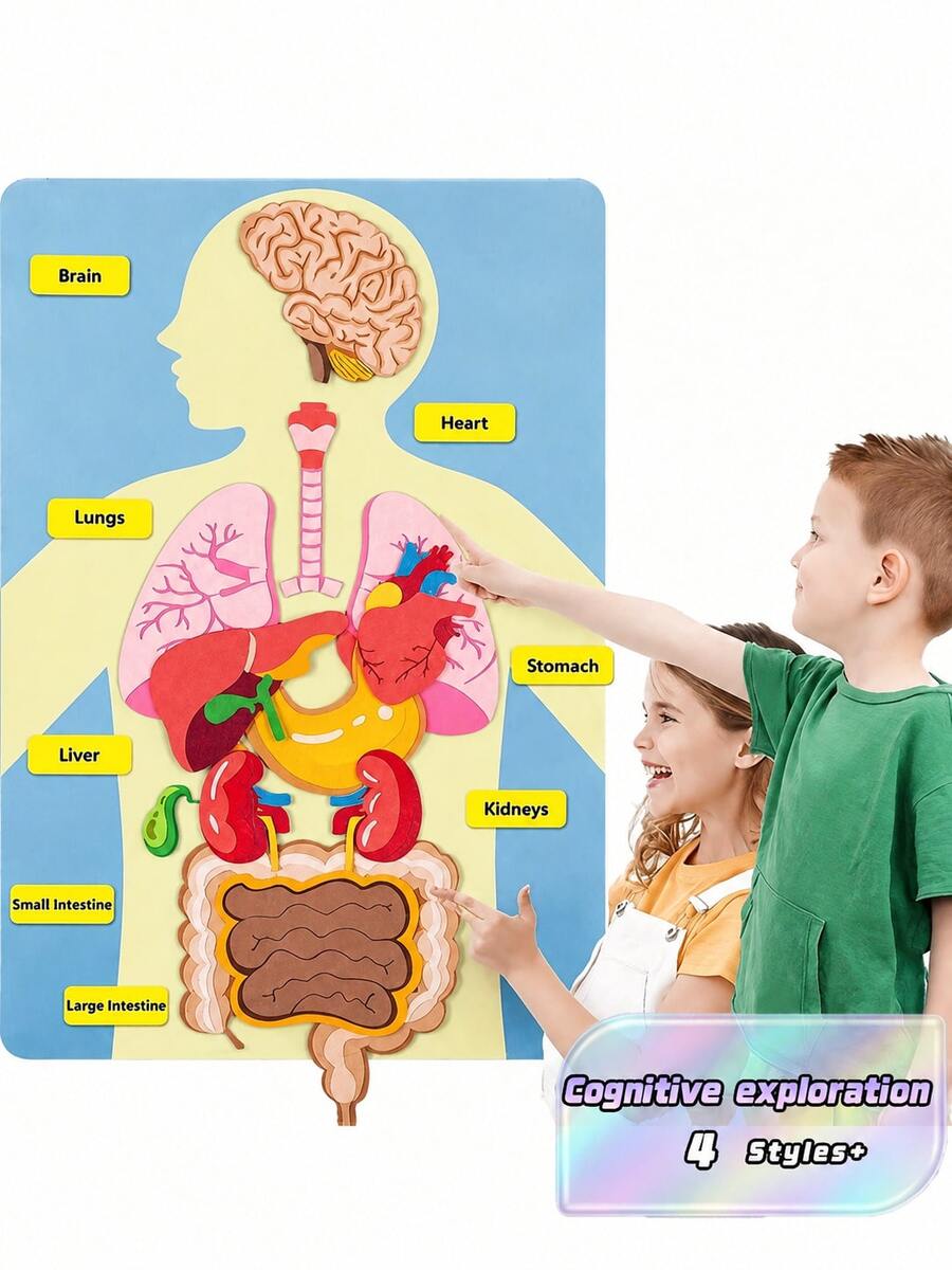 "Interactive Body Anatomy Learning Set: Colorful Felt Organs For Kids "