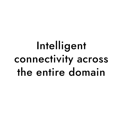 Intelligent connectivity across the entire domain
