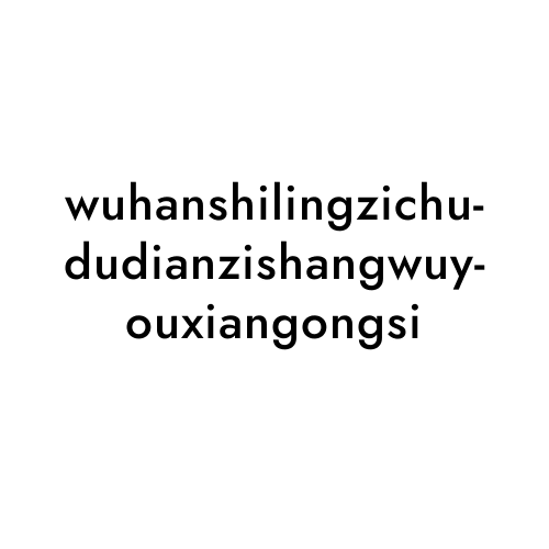 wuhanshilingzichududianzishangwuyouxiangongsi