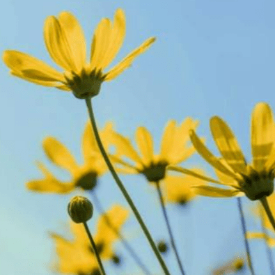 WJ DIY jewelry accessories