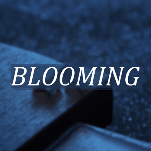BLOOMING-Odd