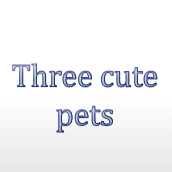 Three cute pets