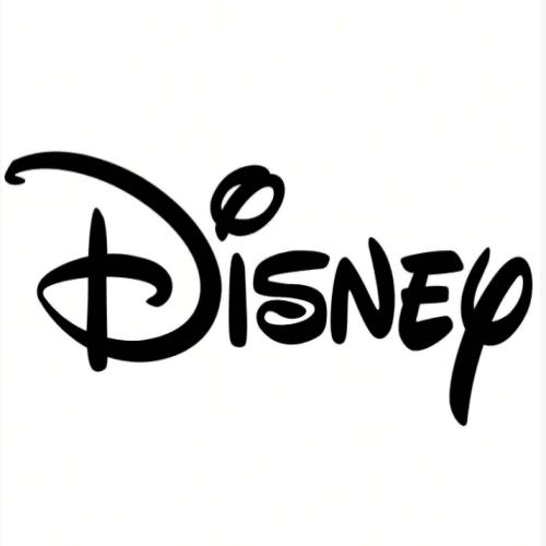 Disney brand store authorization