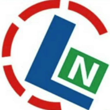 China Leniu Electronics