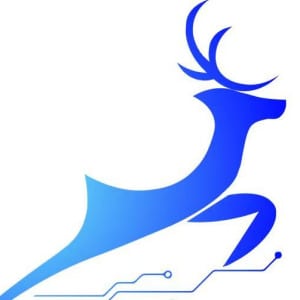 Luxing Department Store