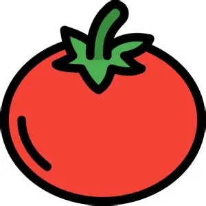 Tomato Shoes