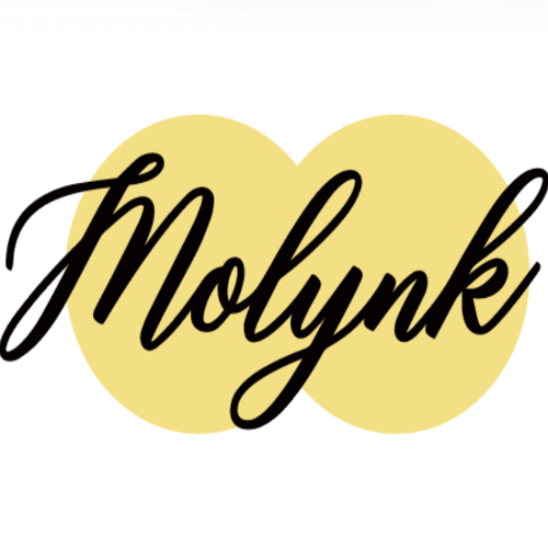 MOLYNK TOYS