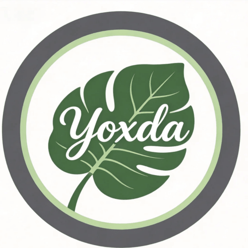 Yoxda