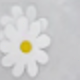 彩色