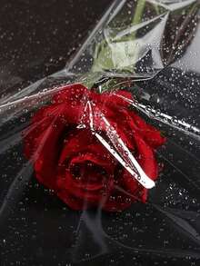 1 Roll Transparent Glass Paper, Transparent Bouquet Wrapping Paper, Plastic Dust-Proof Packaging Paper, Suitable For Gift Baskets, Fresh Flowers, Crafts, Snacks And Desserts - Multicolor - View 7