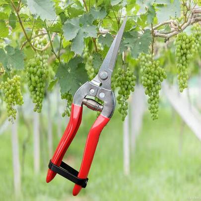 Premium Stainless Steel Gardening Pruning Shears, Soft Rubber Non-Slip Handle For Fruit/Vegetable Picking, Bonsai Trimming, Flower Care And Gardening