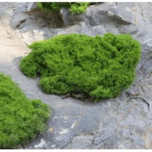 Moss Sod, Outdoor Garden Landscape Decor Artificial Moss Grass, Interior Window Display Bionic Moss Decorations - Multicolor - View 6