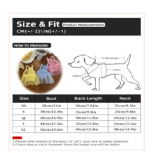 Lightweight Lace Mesh Princess Style Pet Dress, Thin Dog Cat Clothes For Small/Medium Dogs, Summer Spring Autumn - Multicolor - View 2