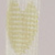 C6