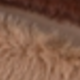 A5