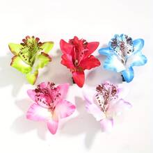 Green, Red, Blue, Pink, Light Purple 5 Pieces