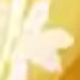 黃色