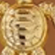 金黃色