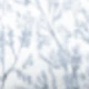 Blue and White