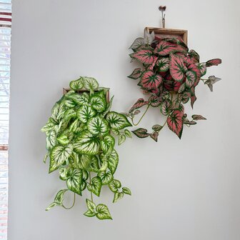 1 件，假悬挂植物 15.7 英寸，人造常春藤叶，假盆景藤蔓悬挂花西瓜叶装饰，适用于婚礼墙壁房屋房间庭院室内室外家居架子办公室装饰（无盆）