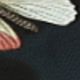 FULSD095