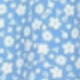 Blue and White
