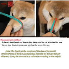 Dog Muzzle, Breathable Plastic Muzzle To Prevent Biting, Licking & Chewing For Small Dogs, With Training Clicker