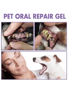 YEGBONG Pet Mouth Care Gel Deep Cleaning Dog And Cat Tooth Stains Oral Care(New And Old Packages Are Shipped Randomly, Thank You For Your Understanding!) - Multicolor - View 7