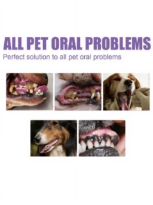 YEGBONG Pet Mouth Care Gel Deep Cleaning Dog And Cat Tooth Stains Oral Care(New And Old Packages Are Shipped Randomly, Thank You For Your Understanding!) - Multicolor - View 6