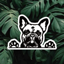 WickedGoodz French Bulldog Holographic Decal, 100% Waterproof PVC Bumper Sticker, Self-Adhesive, Asymmetrical Shape, For Laptops, Tumblers, Windows, Cars, Trucks, Walls, Suitable For Wood, Plastic, Glass, Metal, - Multicolor - View 8