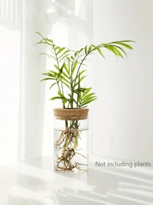 1 pieza, Maceta de vidrio para plantas hidropónicas de escritorio para decoración del hogar, estación de propagación de plantas, jarrón para brotes, macetas hidropónicas de escritorio para decoración de mesas en la sala de estar, adecuado para cocina, oficina, balcón, dormitorio, regalos de cumpleaños y graduación