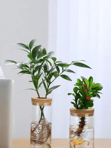 1 pieza, Maceta de vidrio para plantas hidropónicas de escritorio para decoración del hogar, estación de propagación de plantas, jarrón para brotes, macetas hidropónicas de escritorio para decoración de mesas en la sala de estar, adecuado para cocina, oficina, balcón, dormitorio, regalos de cumpleaños y graduación