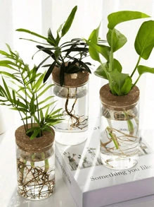 1 pieza, Maceta de vidrio para plantas hidropónicas de escritorio para decoración del hogar, estación de propagación de plantas, jarrón para brotes, macetas hidropónicas de escritorio para decoración de mesas en la sala de estar, adecuado para cocina, oficina, balcón, dormitorio, regalos de cumpleaños y graduación
