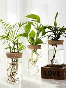 1 pieza, Maceta de vidrio para plantas hidropónicas de escritorio para decoración del hogar, estación de propagación de plantas, jarrón para brotes, macetas hidropónicas de escritorio para decoración de mesas en la sala de estar, adecuado para cocina, oficina, balcón, dormitorio, regalos de cumpleaños y graduación