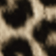 Leopard-8623A