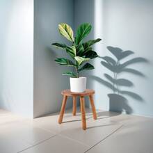 Porte-plante de 30 cm (11,8 pouces) de haut, tabouret en bois massif circulaire, banc de jardin, pieds en bois amovibles, convient pour porte-plante, cuisine, salle de bain, chambre, salon
