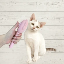 Pente Agulha Para Animais De Estimação Escova Pet Gato Cão Cachorro Remove Pelo Solto Massageador - Verde - Visão 5