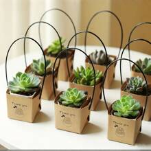 20/50pcs-Mini Succulent Planter - White Kraft Paper Floral Box With Metal Handle For Teacher Appreciation, Thanksgiving Decor, Small Business Supplies