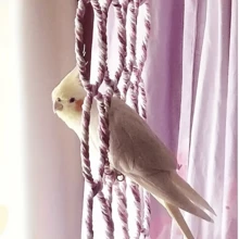 鹦鹉爬藤鸟玩具-咀嚼磨牙模型，虎皮牡丹黑风爬环，磨爪防咬鸟笼宠物用品，颜色随机