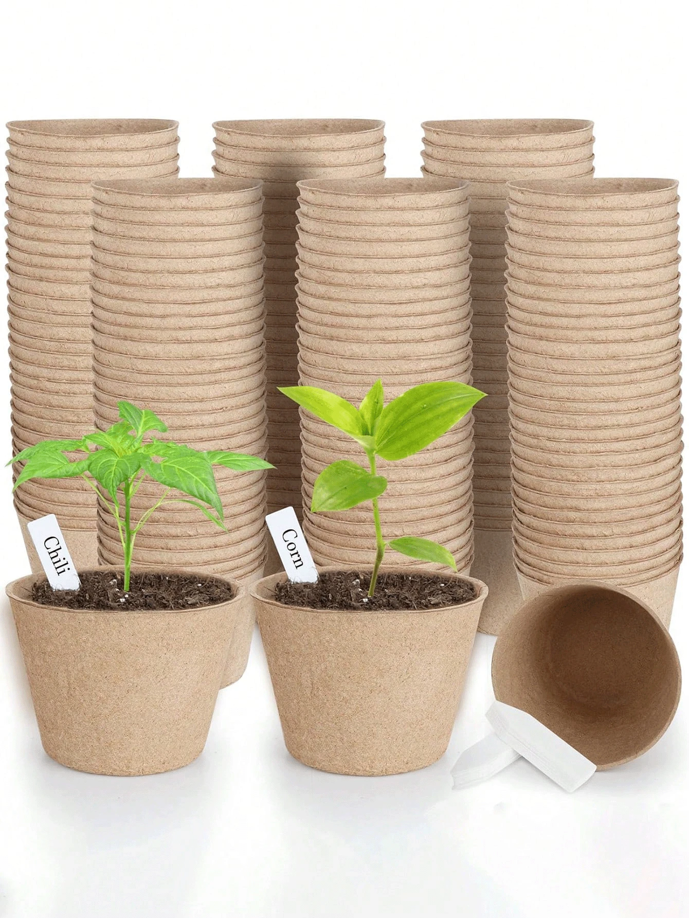 15pcs Plant Nursery Pots Small Seed Starting Pots Seedling Plastic Plant Pot With Drainage Holes For Indoor Outdoor Planting Garden Flower Plant Container Cups Planter,Plastic Plant Nursery Pots With 15 Pcs Plant Labels, Seed Starting Planting Pot Flower Planter Container For Succulents, Seedlings, Cuttings, Transplanting,Two-Tone Plastic Flower Pot For Planting With Thickened Nutrient Bowl For Seedling Cultivation