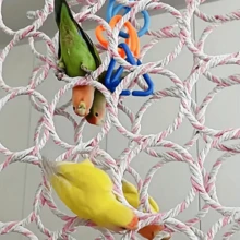 鹦鹉爬藤鸟玩具-咀嚼磨牙模型，虎皮牡丹黑风爬环，磨爪防咬鸟笼宠物用品，颜色随机