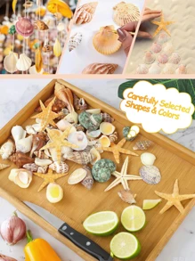 1000g/500g-Natural Shell And Conch Decoration, Natural Sea Scallops, Mixed Starfish And Sea Scallops, Various-Sized Sea Scallop Decoration, Beach-Themed Parties, DIY Handicrafts, Fish Tank Filling, Home Decoration, Wedding Decoration