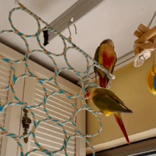 鹦鹉爬藤鸟玩具-咀嚼磨牙模型，虎皮牡丹黑风爬环，磨爪防咬鸟笼宠物用品，颜色随机