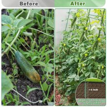 10 pezzi di picchetti da giardino in metallo verde, pergolati da giardino durevoli adatti per pomodori, cetrioli e uva - essenziale attrezzo per la cura del prato, resistente alla ruggine, facile da inserire, adatto per varie piante, frutta e verdura, ideale per il giardino, il balcone
