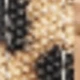 LEOPARD-2278