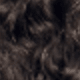 S4